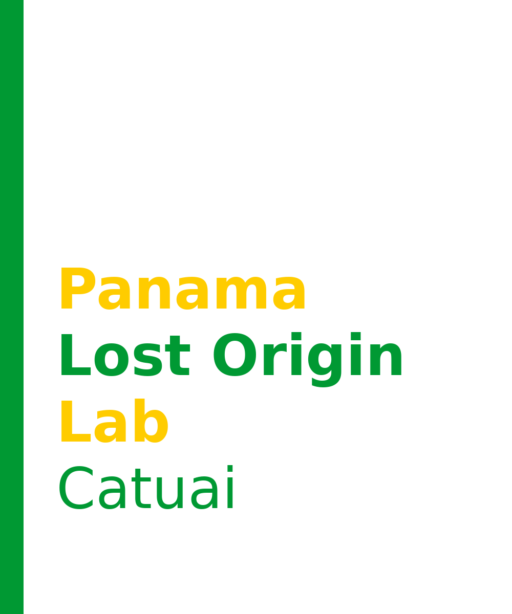 Panama Lost Origin Coffee Lab - Castelara
