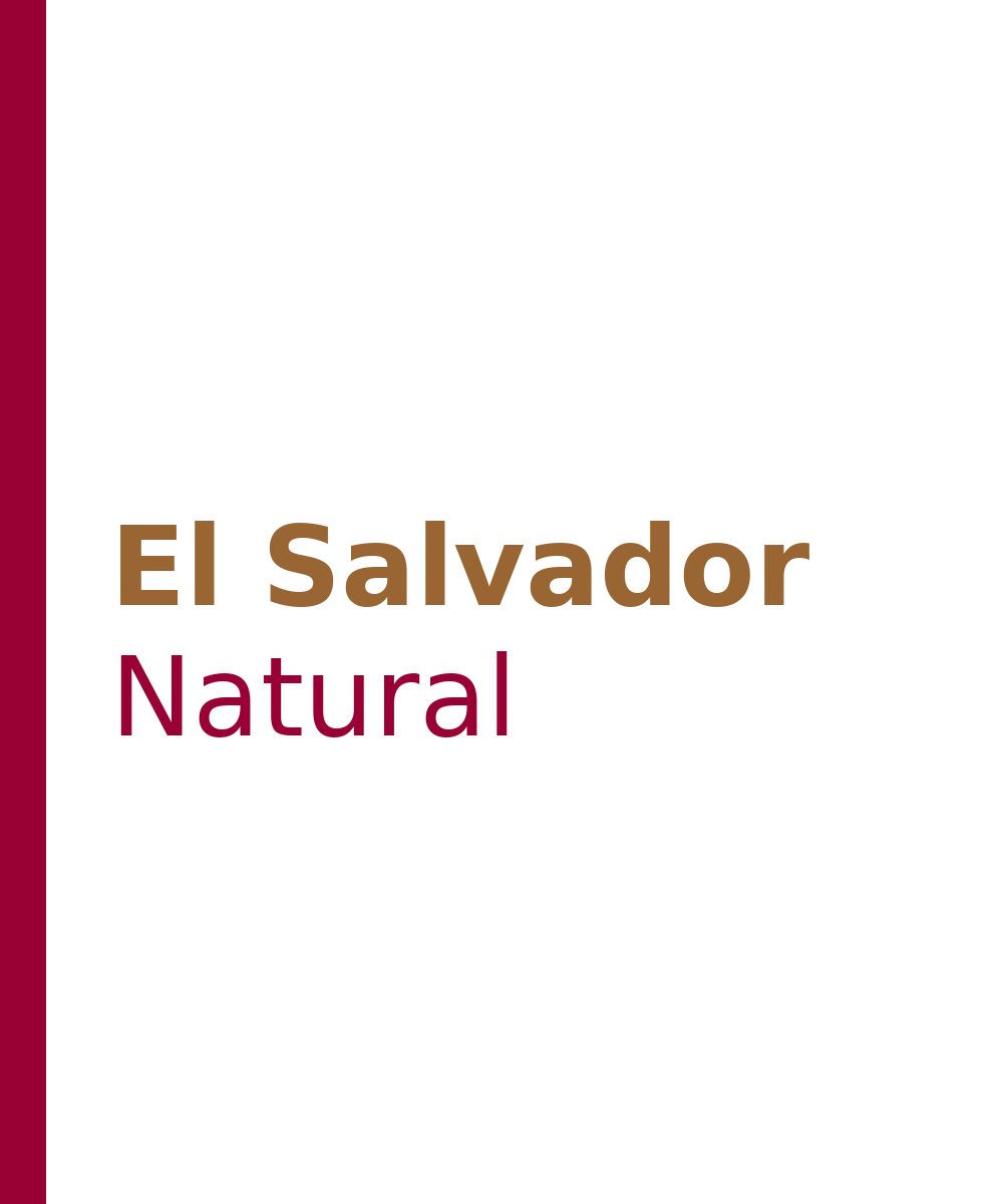 El Salvador Natural (House Espresso)