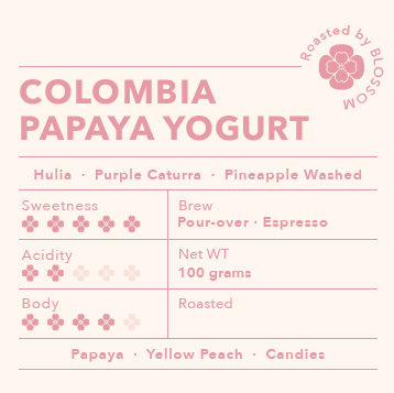 Colombia Monteblanco Papaya Yogurt 100g