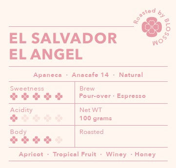 El Salvador EL Angel