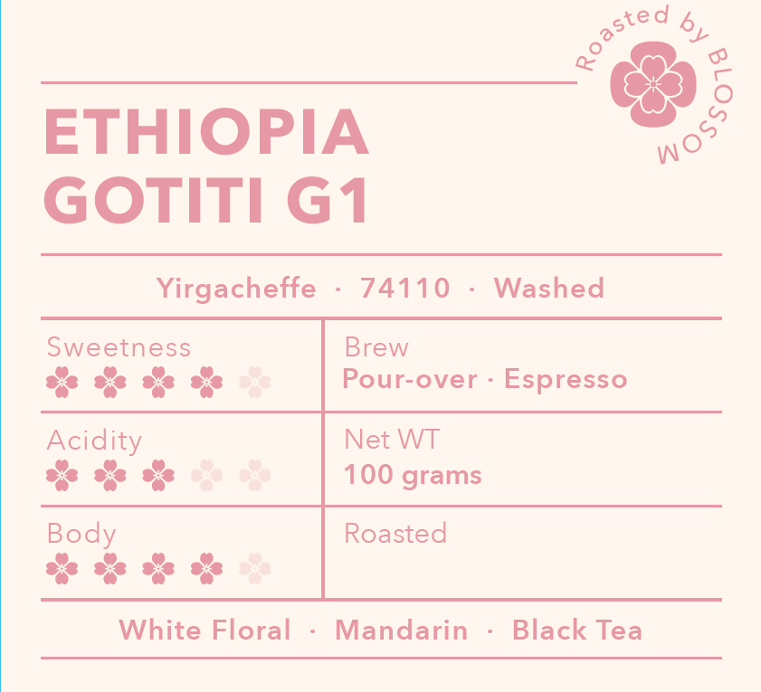 Ethiopia Gotiti