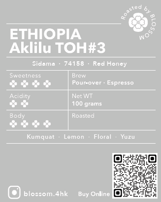 Ethiopia Aklilu TOH #3