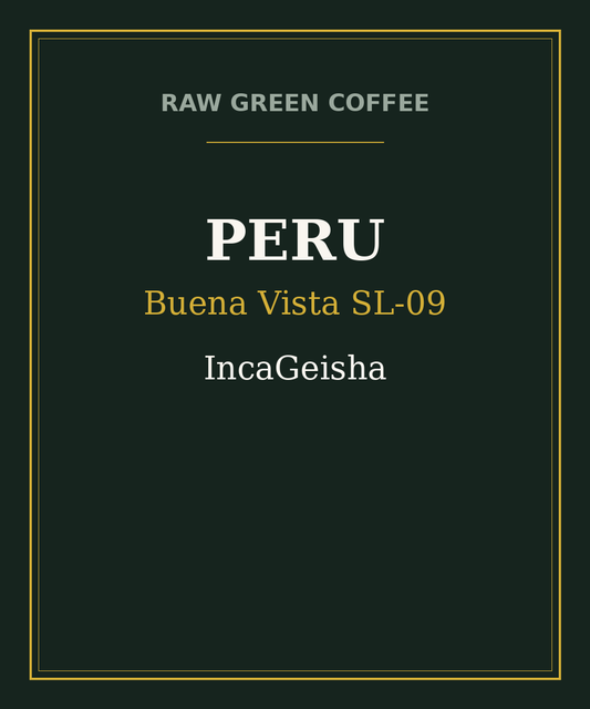 Peru Buena Vista SL-09 IncaGeisha Washed