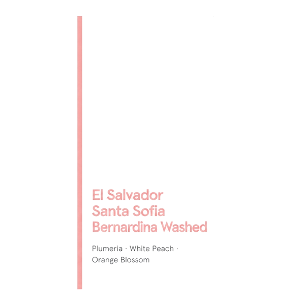 El Salvador Santa Sofia Bernardina Washed (COE#1 Varietal)