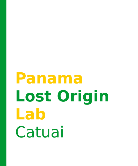 Panama Lost Origin Coffee Lab - Castelara