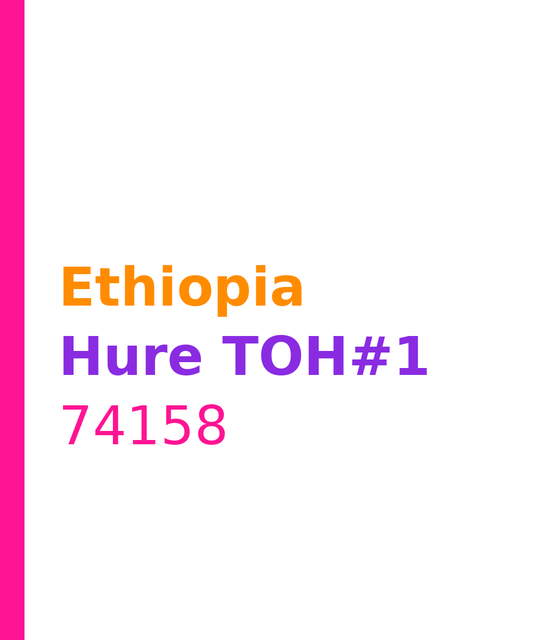 Ethiopia Hure TOH #1 Experimental Anaerobic Natural [2026 Harvest]