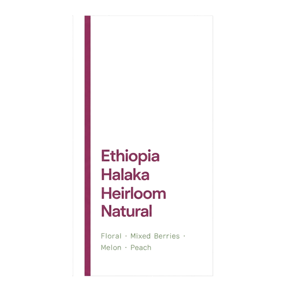 Ethiopia Sidama Halaka