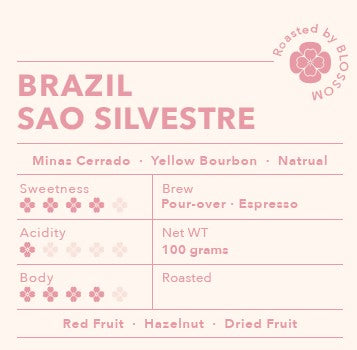 Brazil Sao Silvestre