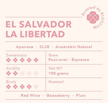 El Salvador La Libertad