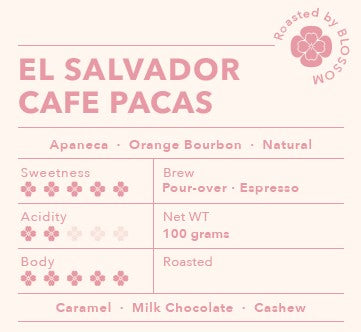 El Salvador Cafe Pacas