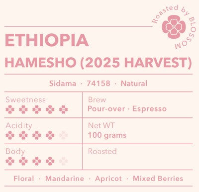 Ethiopia Hamesho (2025 Harvest)
