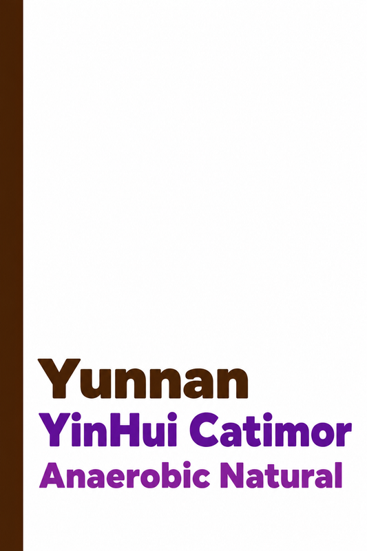 Yunnan YinHui Catimor Anaerobic Natural